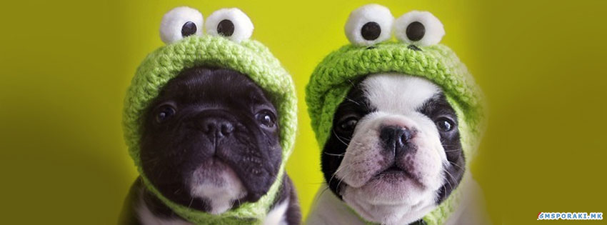 Смешни кучиња