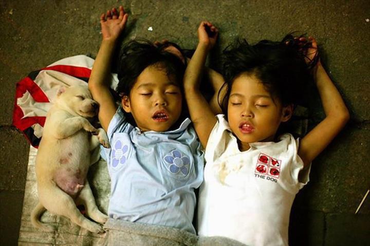 Слатки бебиња и мали деца 10