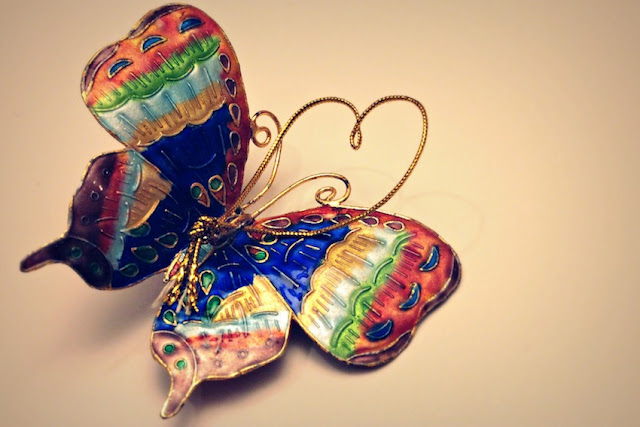 Пеперутки во стомакот