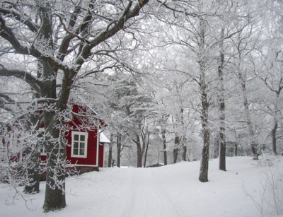 Зимски фотографии 06