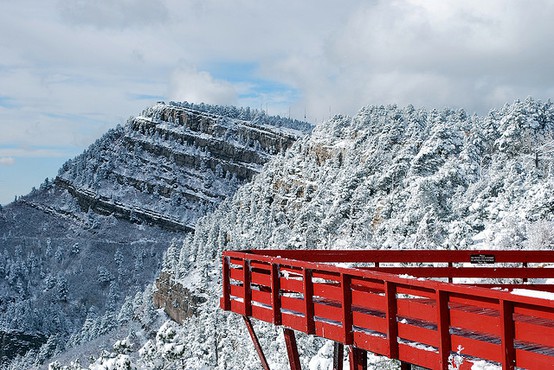 Новогодишни слики