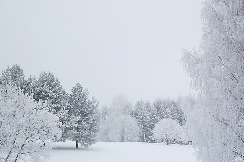 Новогодишен пејсаж