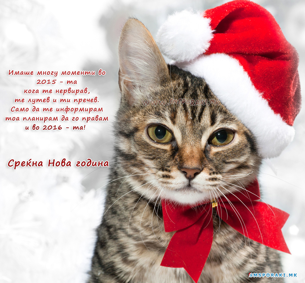 01 Новогодишни честитки и пораки 2016