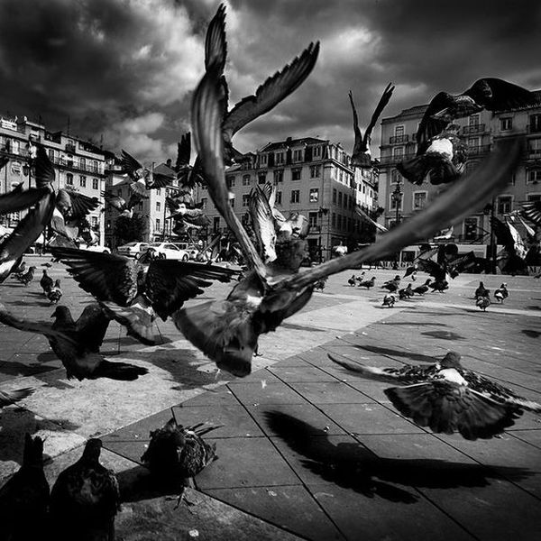 Црно бели фотографии 06