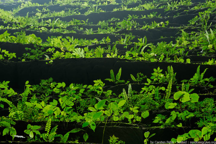 Пештера Son Doong 10